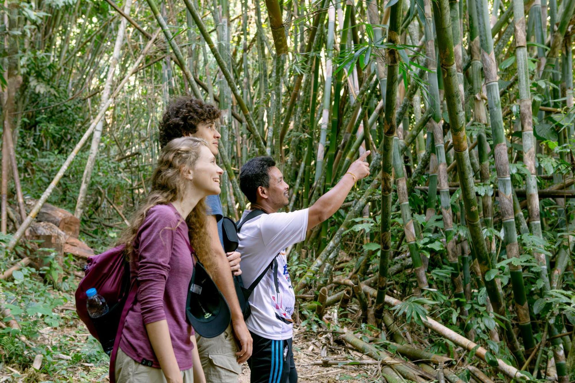 Khao Sok National Park 拷索可可旅舍旅舍 外观 照片